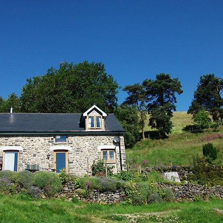 Swallow Barn Лланвртид-Уэлс Номер фото
